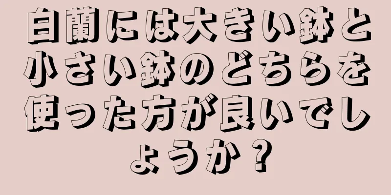 白蘭には大きい鉢と小さい鉢のどちらを使った方が良いでしょうか？