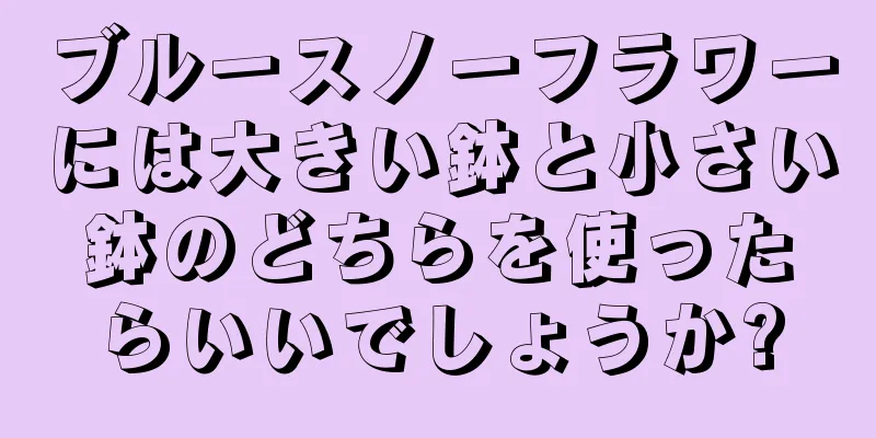 ブルースノーフラワーには大きい鉢と小さい鉢のどちらを使ったらいいでしょうか?