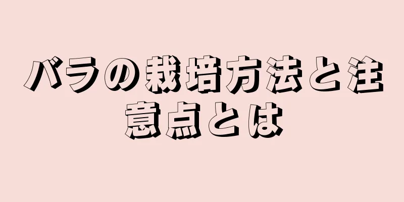 バラの栽培方法と注意点とは