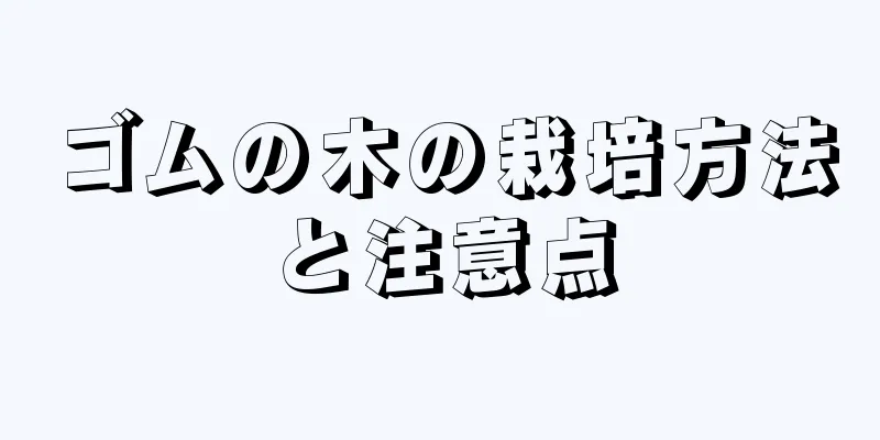 ゴムの木の栽培方法と注意点
