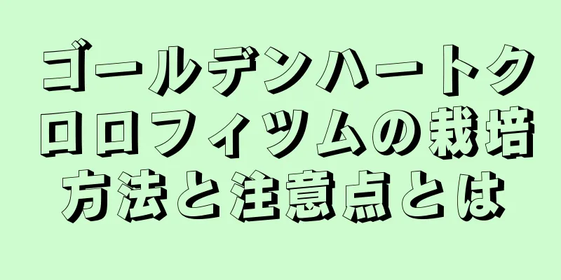 ゴールデンハートクロロフィツムの栽培方法と注意点とは