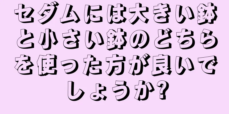セダムには大きい鉢と小さい鉢のどちらを使った方が良いでしょうか?