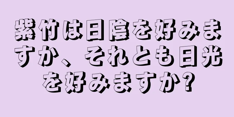 紫竹は日陰を好みますか、それとも日光を好みますか?