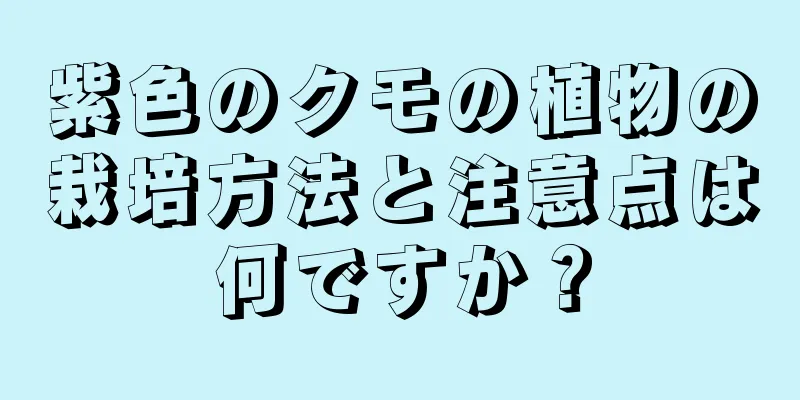 紫色のクモの植物の栽培方法と注意点は何ですか？