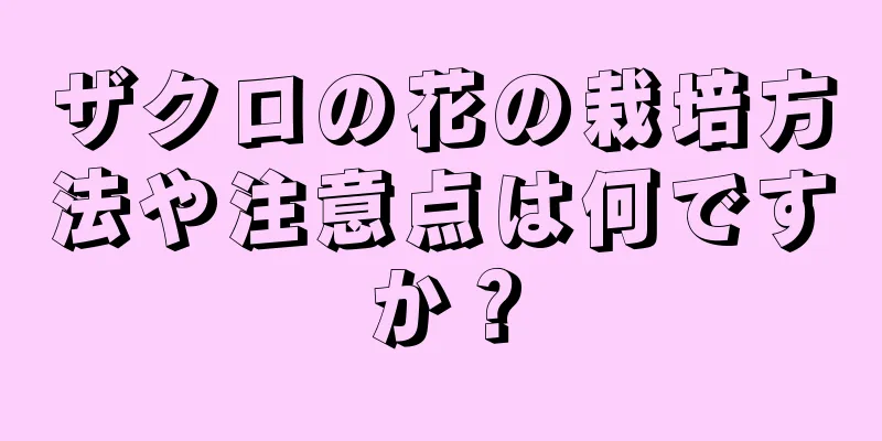 ザクロの花の栽培方法や注意点は何ですか？