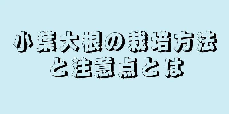 小葉大根の栽培方法と注意点とは