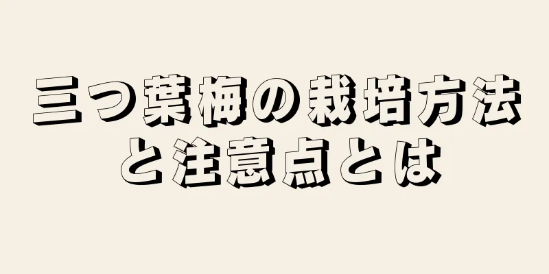 三つ葉梅の栽培方法と注意点とは
