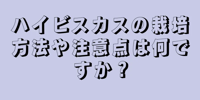 ハイビスカスの栽培方法や注意点は何ですか？