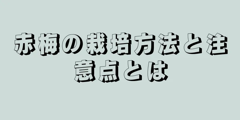 赤梅の栽培方法と注意点とは