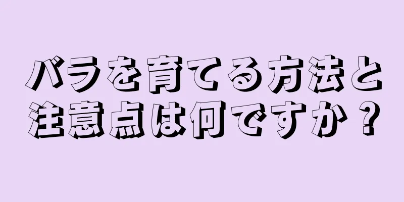 バラを育てる方法と注意点は何ですか？