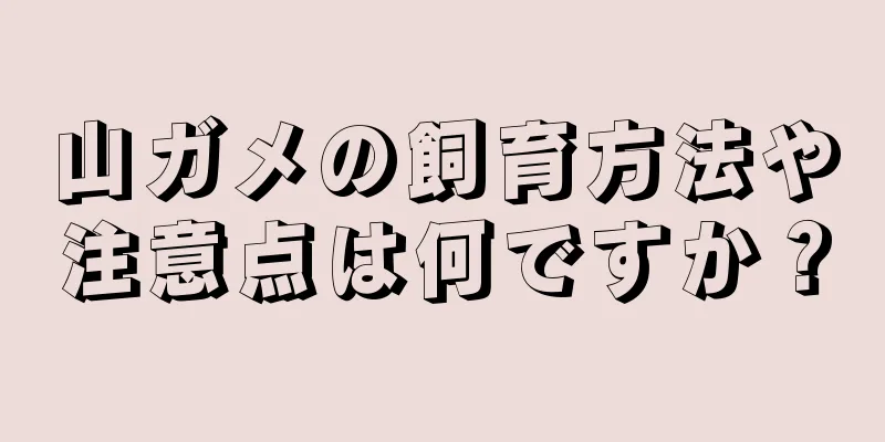 山ガメの飼育方法や注意点は何ですか？