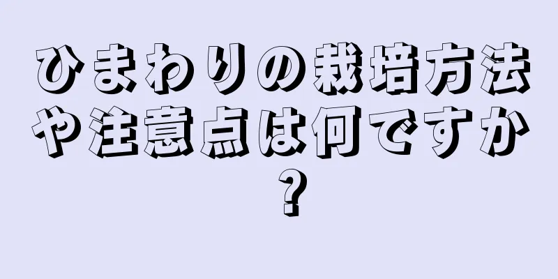 ひまわりの栽培方法や注意点は何ですか？
