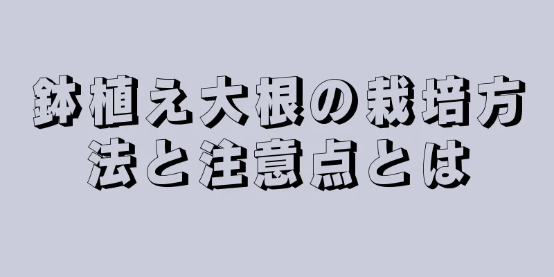鉢植え大根の栽培方法と注意点とは