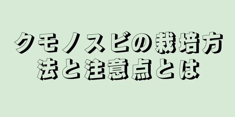 クモノスビの栽培方法と注意点とは