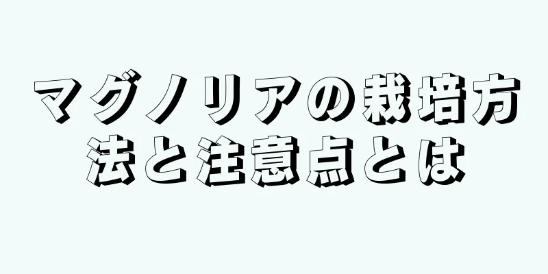 マグノリアの栽培方法と注意点とは