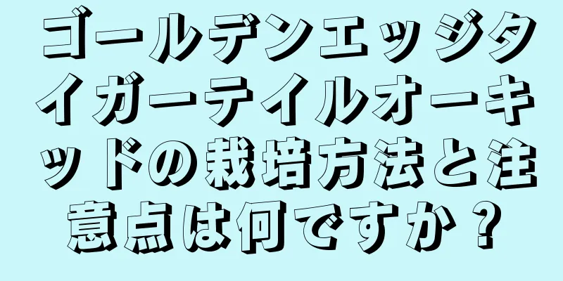 ゴールデンエッジタイガーテイルオーキッドの栽培方法と注意点は何ですか？