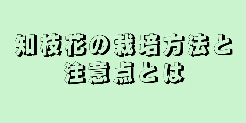 知枝花の栽培方法と注意点とは