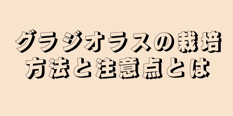 グラジオラスの栽培方法と注意点とは