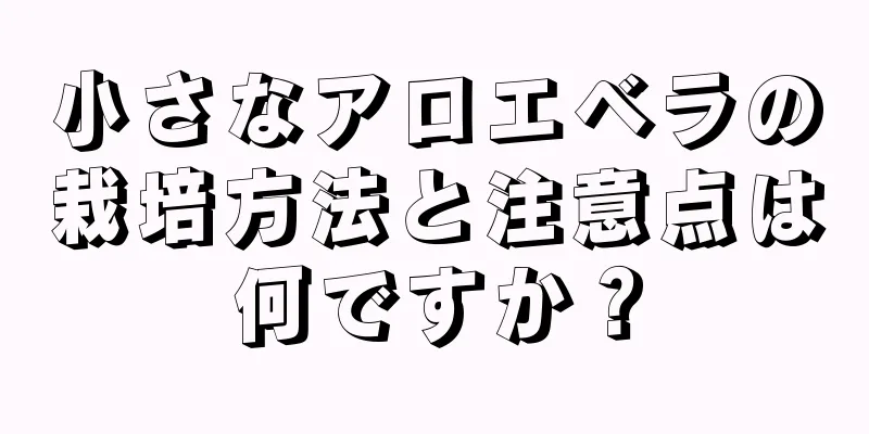 小さなアロエベラの栽培方法と注意点は何ですか？