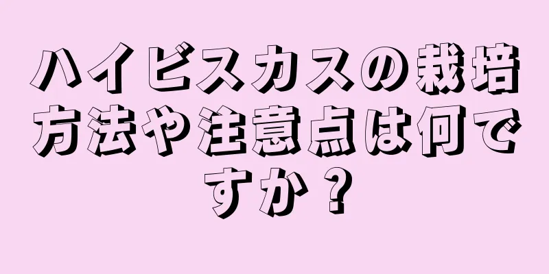 ハイビスカスの栽培方法や注意点は何ですか？