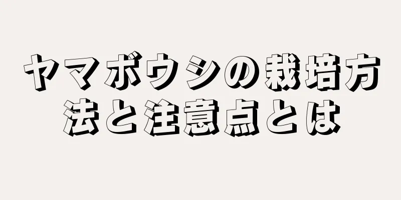 ヤマボウシの栽培方法と注意点とは