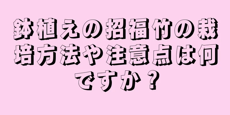 鉢植えの招福竹の栽培方法や注意点は何ですか？