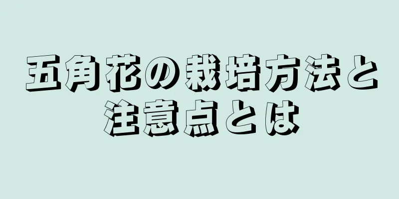 五角花の栽培方法と注意点とは