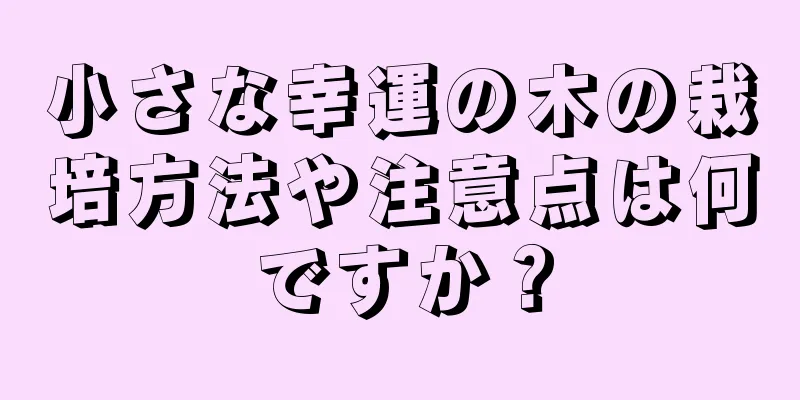 小さな幸運の木の栽培方法や注意点は何ですか？