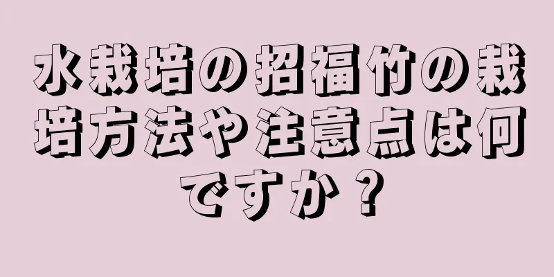 水栽培の招福竹の栽培方法や注意点は何ですか？