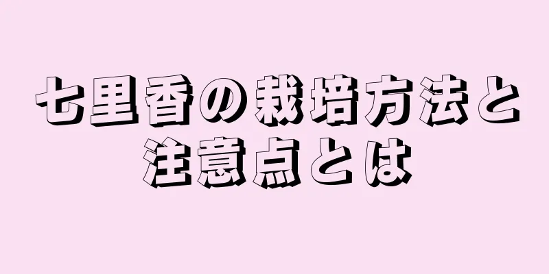 七里香の栽培方法と注意点とは