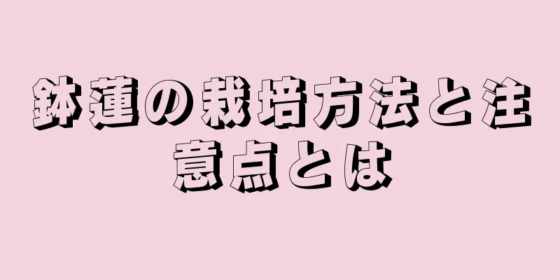 鉢蓮の栽培方法と注意点とは