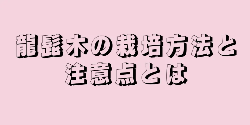 龍髭木の栽培方法と注意点とは