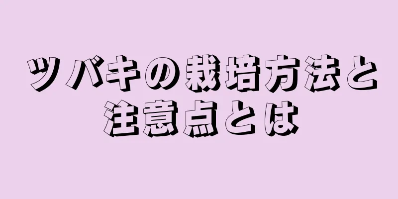 ツバキの栽培方法と注意点とは