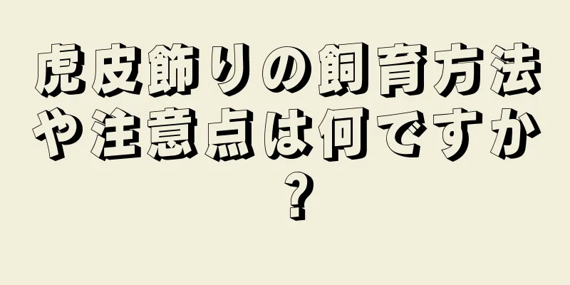虎皮飾りの飼育方法や注意点は何ですか？