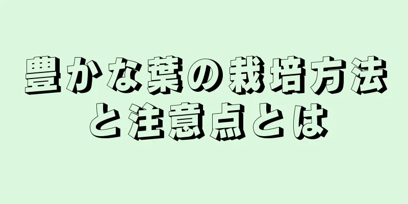 豊かな葉の栽培方法と注意点とは