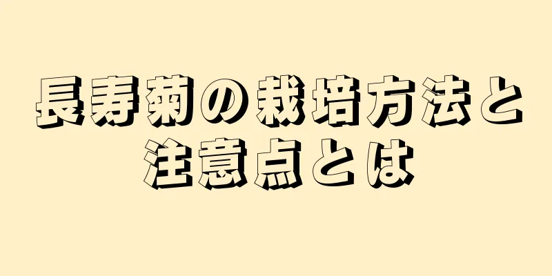 長寿菊の栽培方法と注意点とは