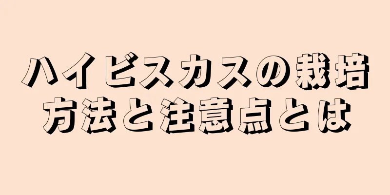 ハイビスカスの栽培方法と注意点とは