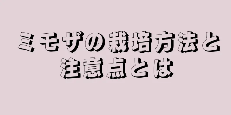ミモザの栽培方法と注意点とは