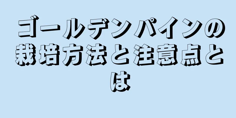 ゴールデンパインの栽培方法と注意点とは