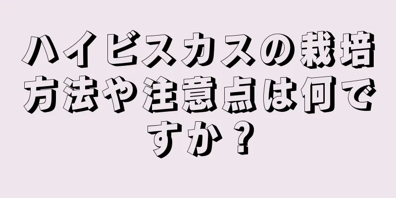 ハイビスカスの栽培方法や注意点は何ですか？