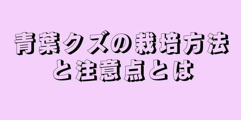 青葉クズの栽培方法と注意点とは