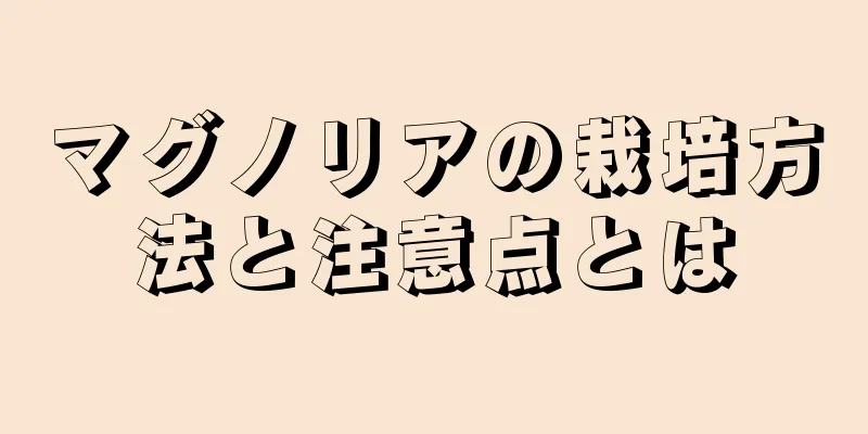 マグノリアの栽培方法と注意点とは