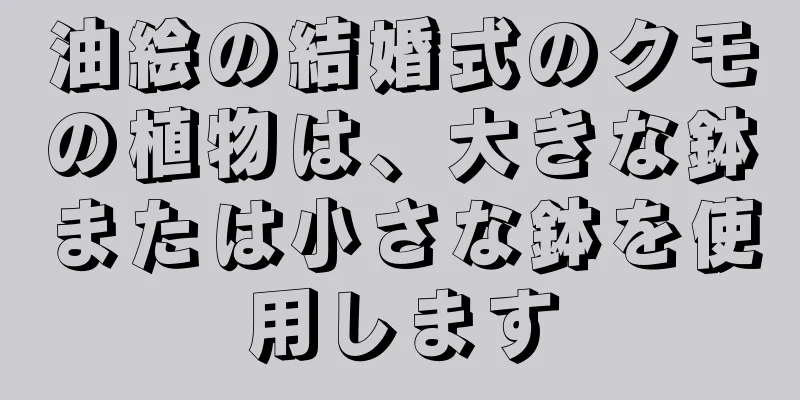 油絵の結婚式のクモの植物は、大きな鉢または小さな鉢を使用します