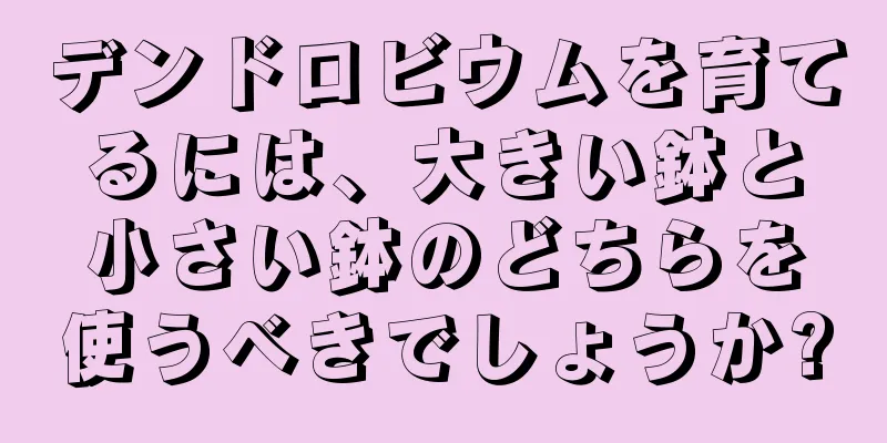 デンドロビウムを育てるには、大きい鉢と小さい鉢のどちらを使うべきでしょうか?