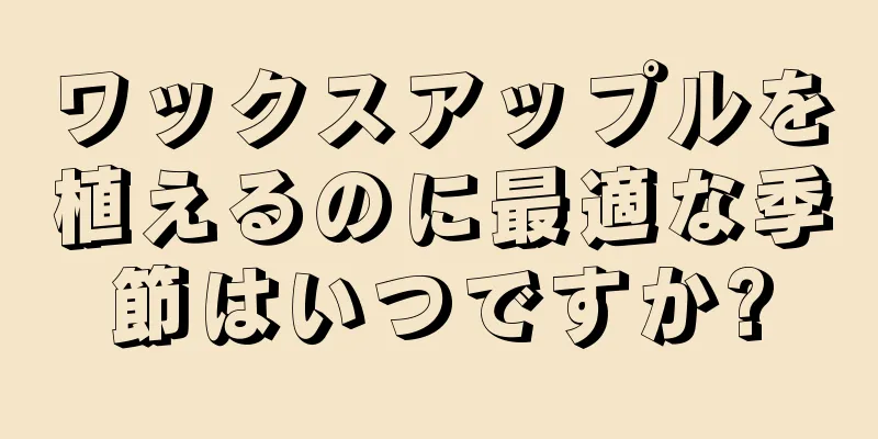 ワックスアップルを植えるのに最適な季節はいつですか?