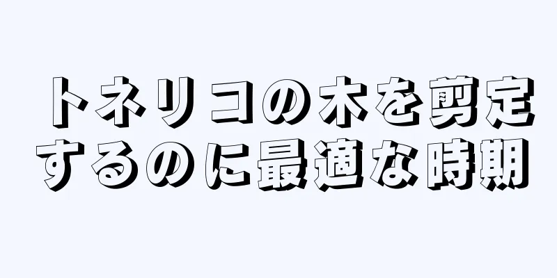 トネリコの木を剪定するのに最適な時期