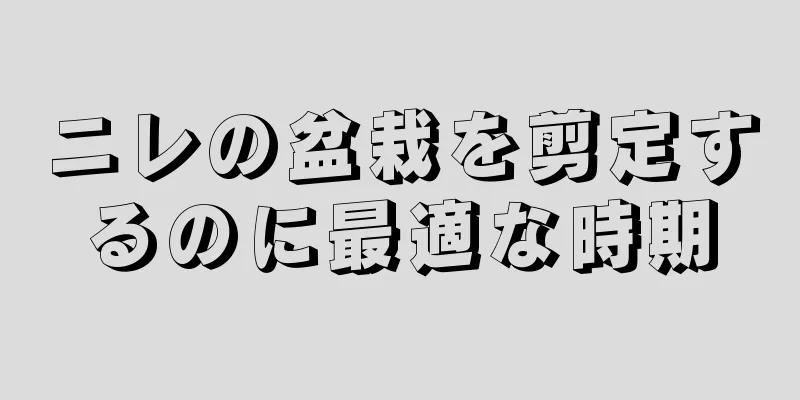 ニレの盆栽を剪定するのに最適な時期