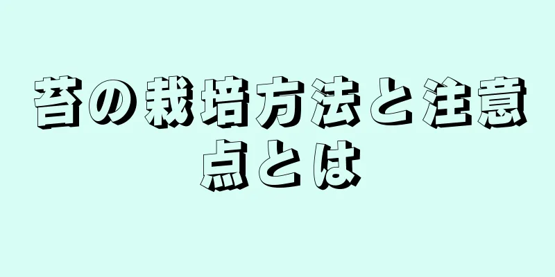 苔の栽培方法と注意点とは