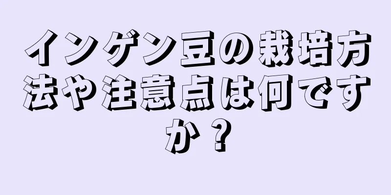 インゲン豆の栽培方法や注意点は何ですか？