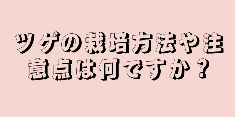 ツゲの栽培方法や注意点は何ですか？